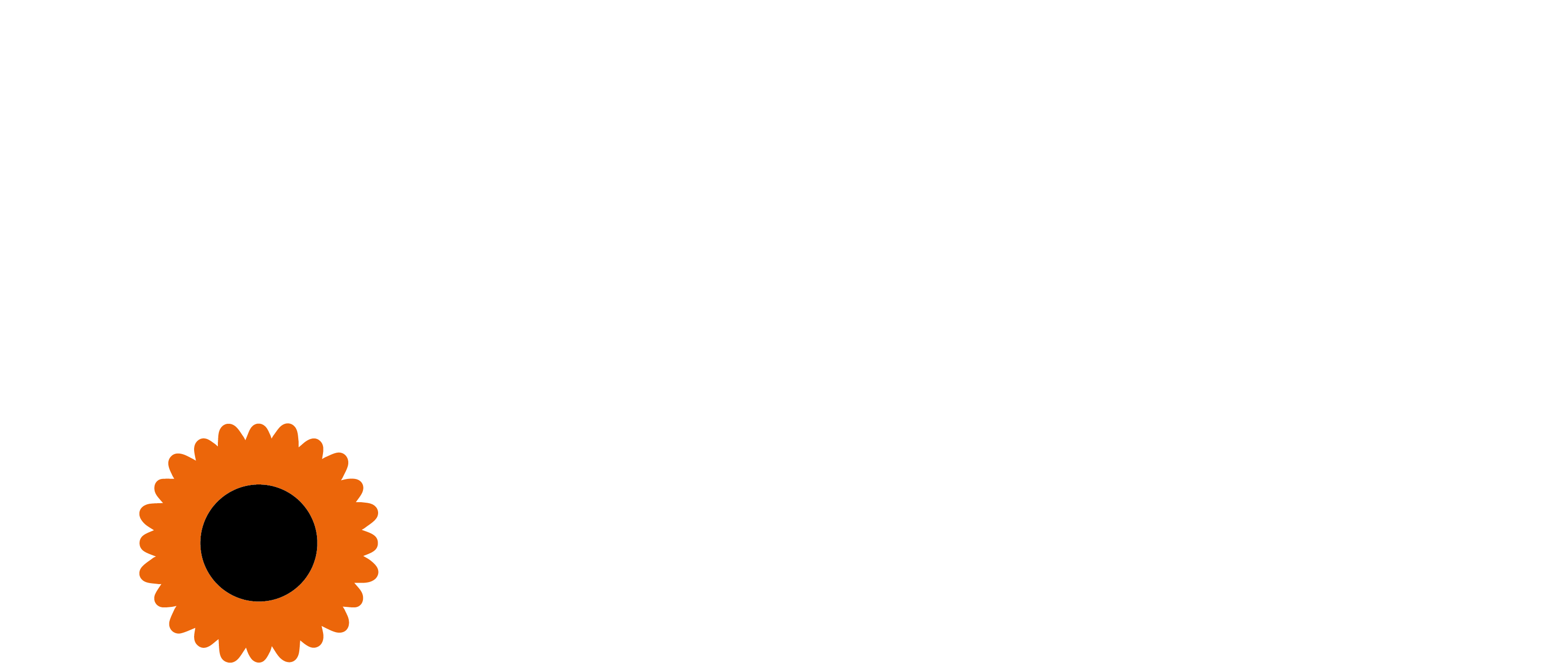 logo_footer